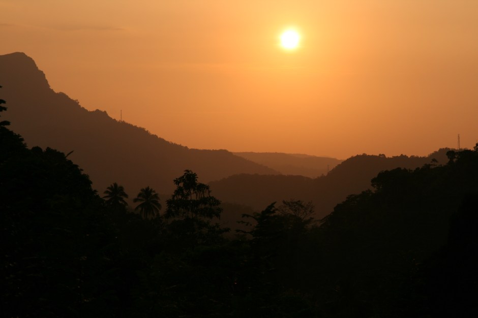 Saulriets pār tējas laukiem