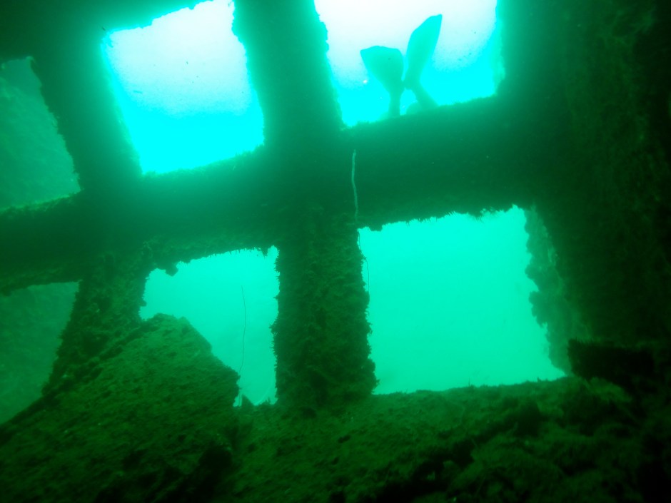 Peldot ārā no vraka