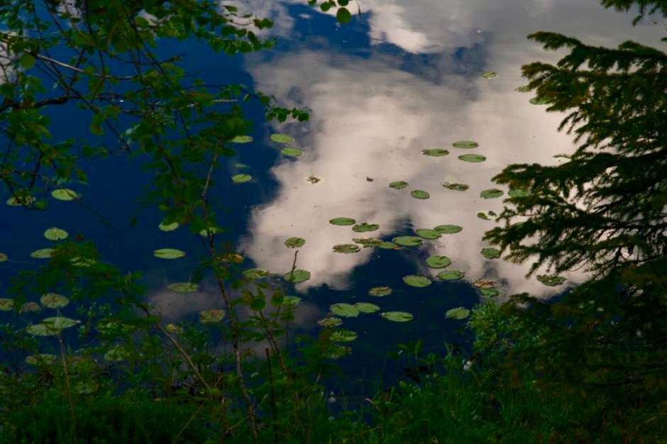 964098EA-FA3C-4F40-B236-B0368477051F