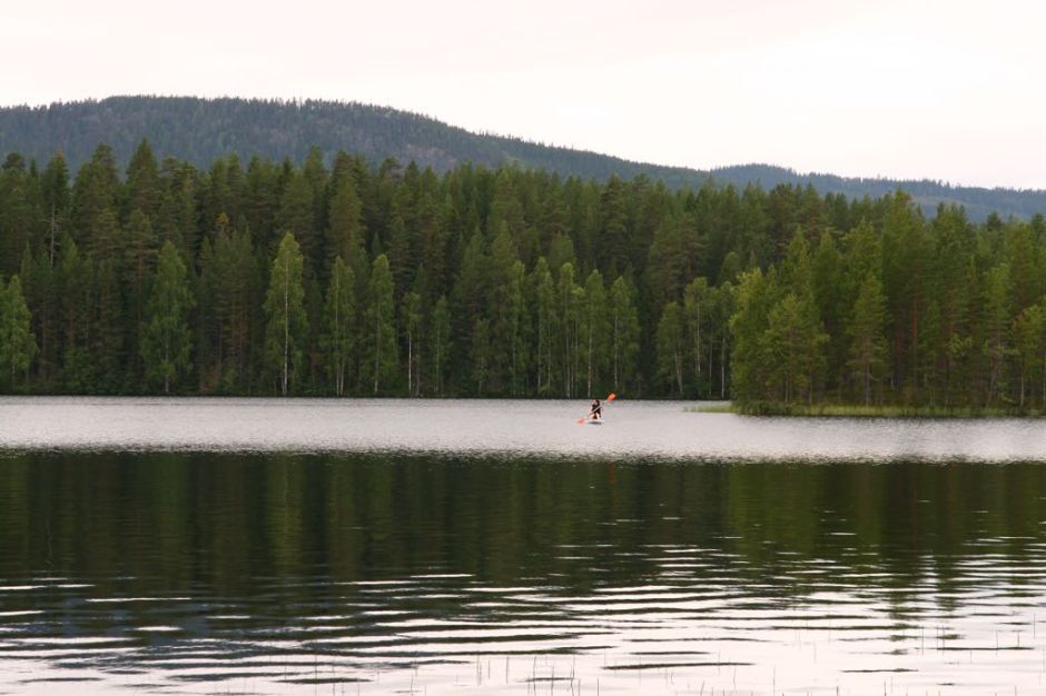 F7BCD1E0-3631-47F3-B3A3-9AFE0D6B68F7