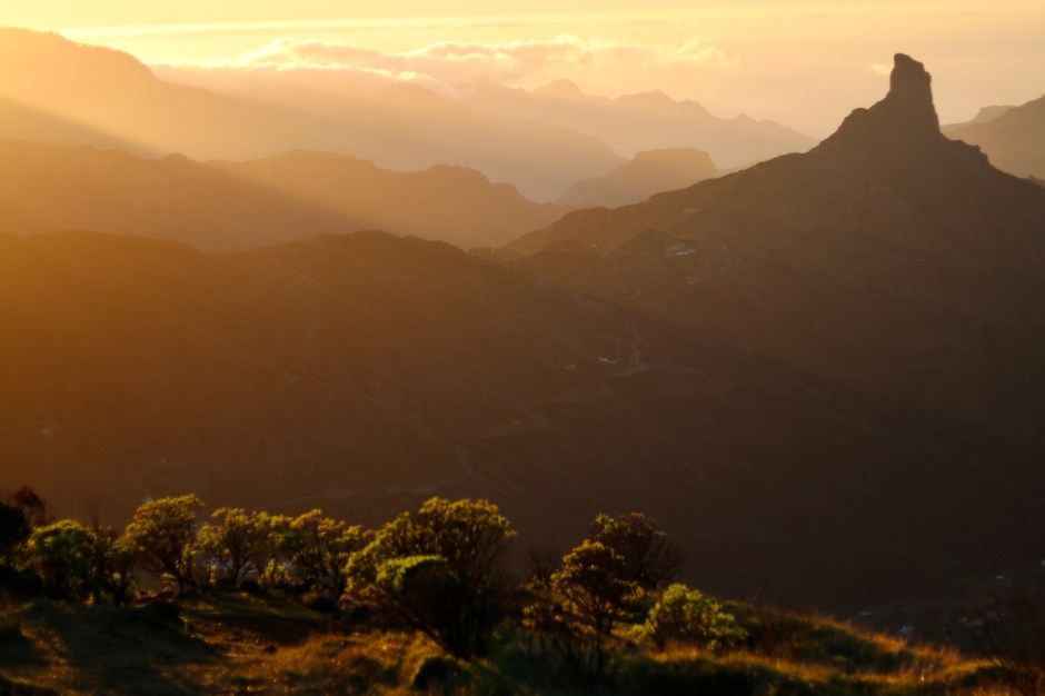 028F475C-7236-4B70-AF14-A507F1C994F8