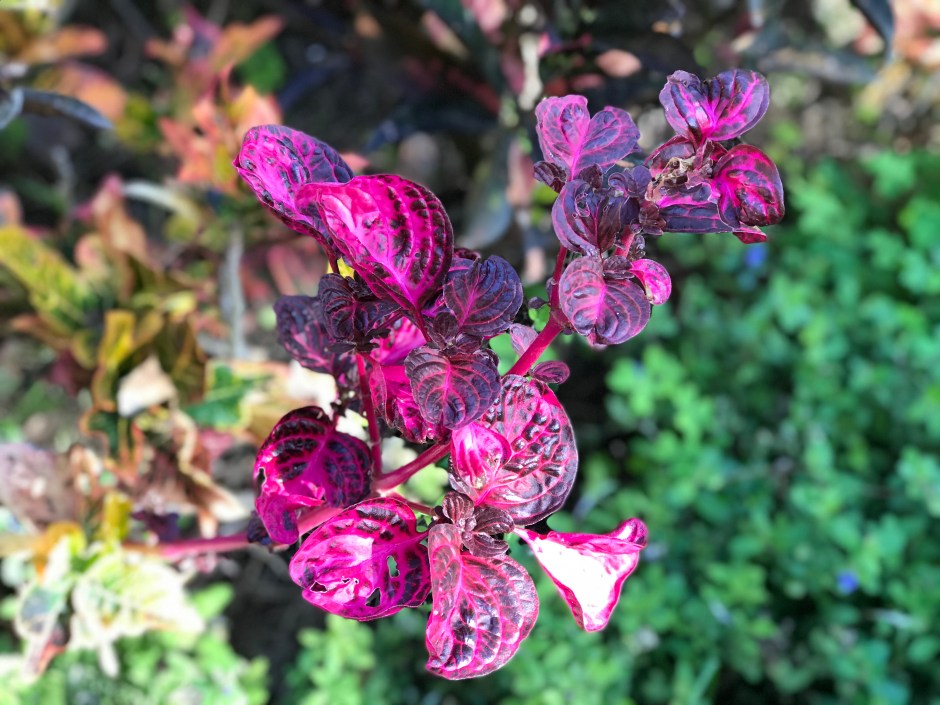 0E184DCD-A17F-488B-B65C-213EA8356125