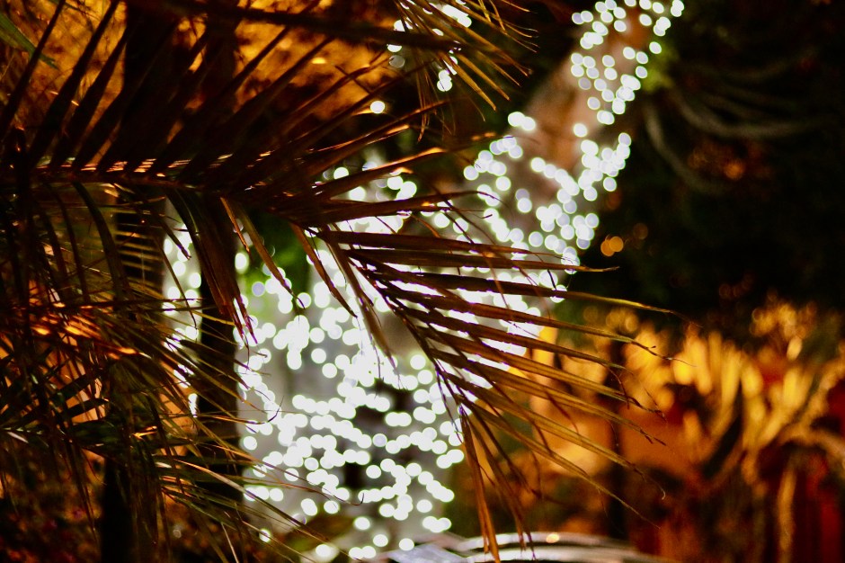 80DD34A5-6207-4192-920A-258F76EEC70E