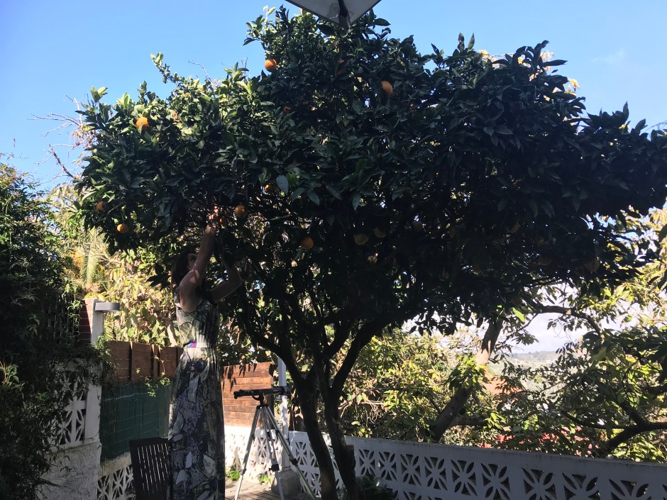 A043F089-E971-4DFA-9CC1-2B0689F67433