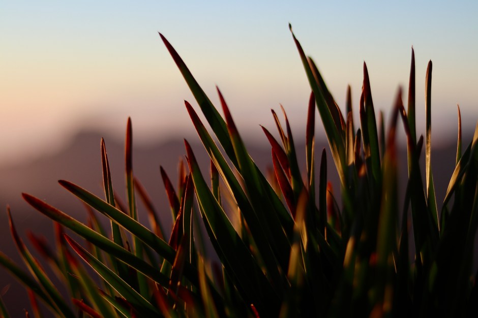 CBF0AB4A-3721-4A11-BD99-D0169A3ADCA1