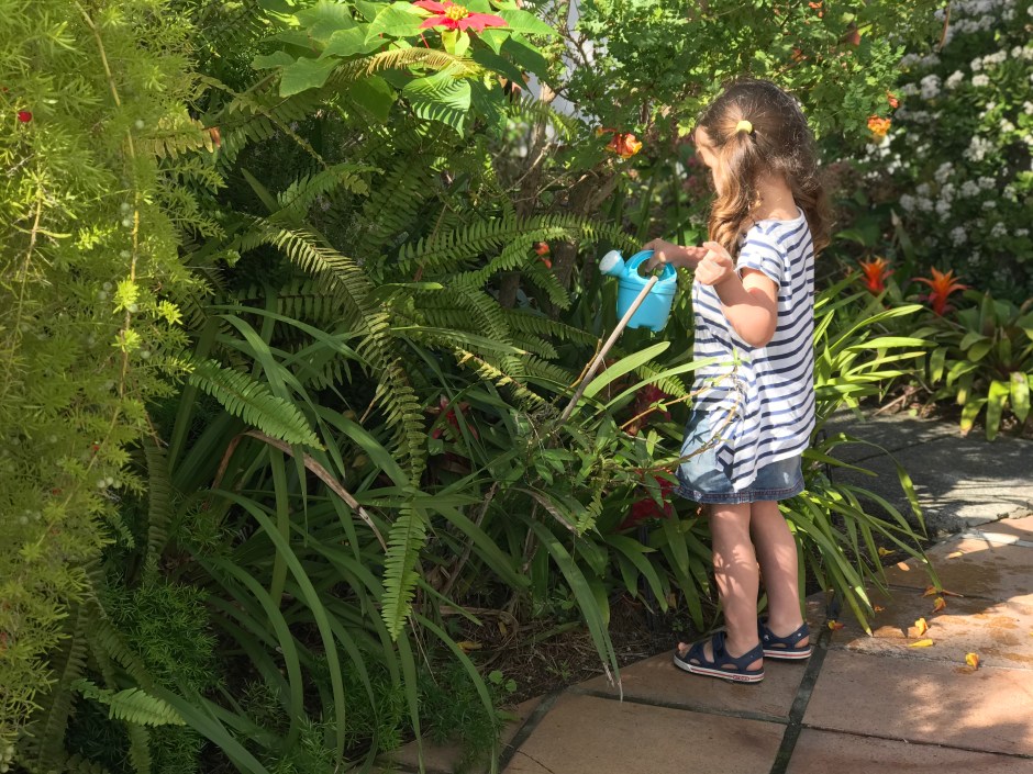 DDC96A0D-97BC-4417-8D14-C020117C1140