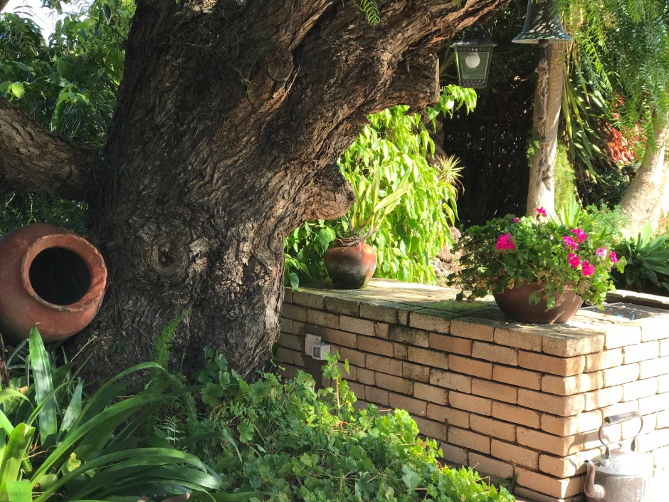 ED4F3608-6924-4486-8021-E837A3A4939B